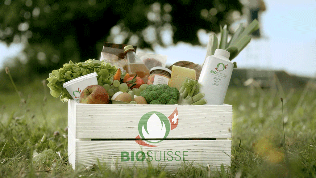 Label Bio Suisse bourgeon sur emballage thé certifié biologique